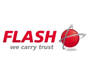 logo flash